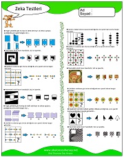 Zeka Gelişim Testleri